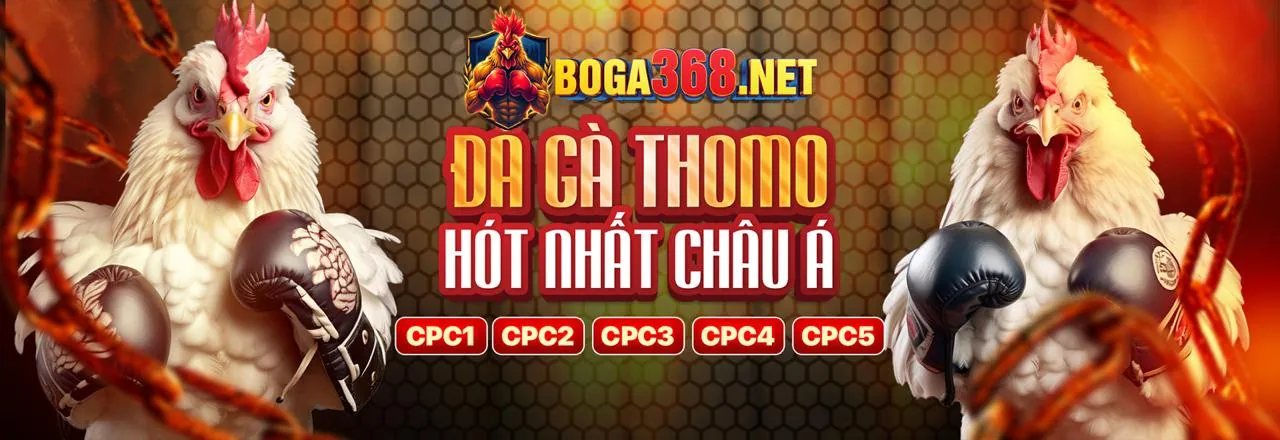 Tổng quan khuyến mãi kubet19 nhà cái 2024